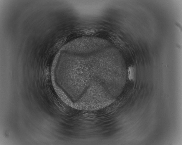 X0000091451395200709131706