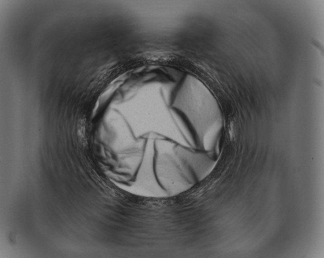 X0000091451396200709131706