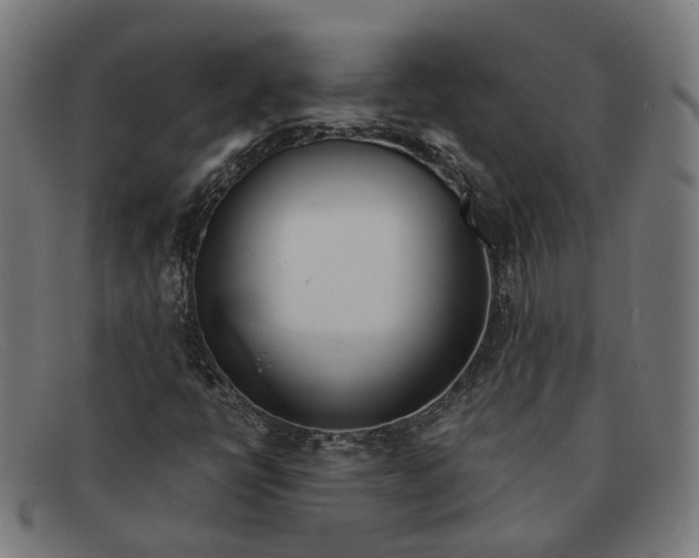 X0000091451398200709131706