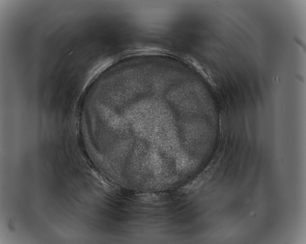 X0000091451405200709131707