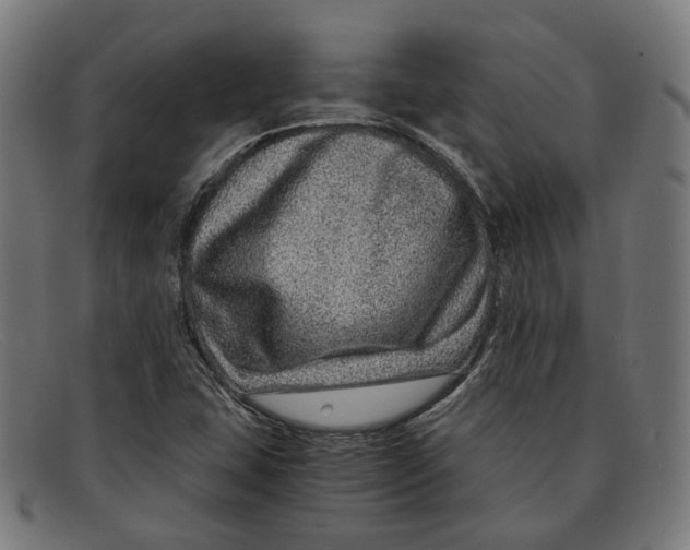 X0000091451407200709131707