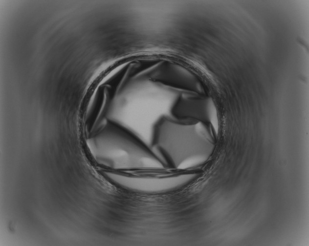 X0000091451412200709131707