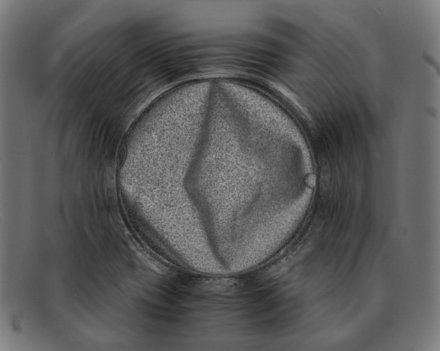 X0000091451417200709131707