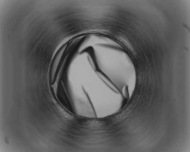 X0000091451420200709131707