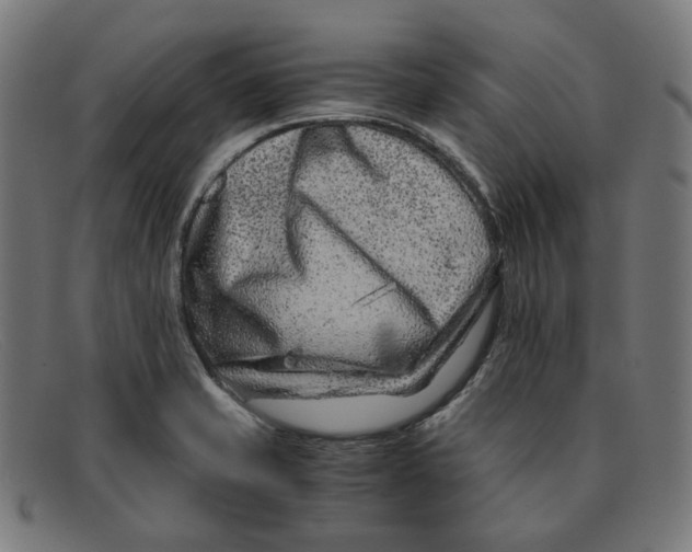 X0000091451421200709131707