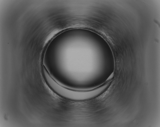 X0000091451422200709131707