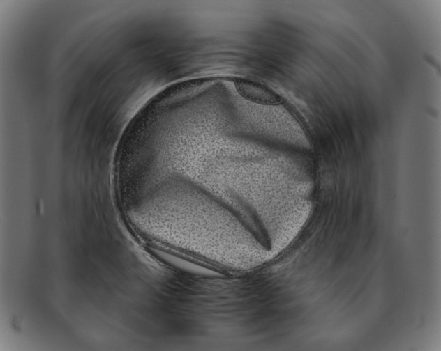 X0000091451423200709131707