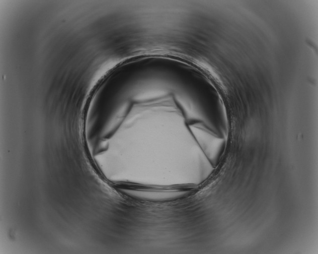 X0000091451424200709131707