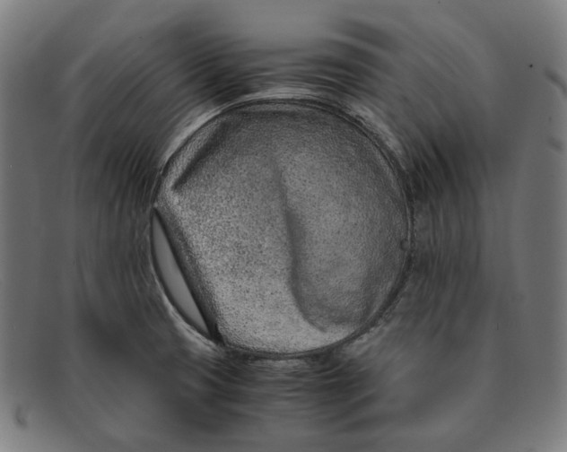 X0000091451425200709131707