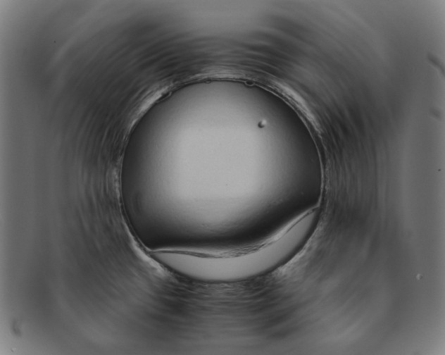 X0000091451433200709131707