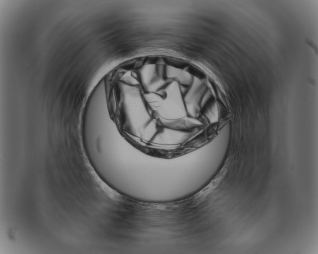 X0000091451438200709131707