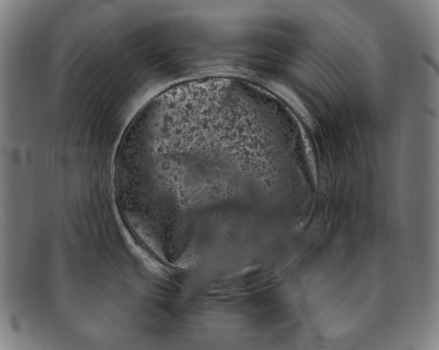 X0000091451439200709131707