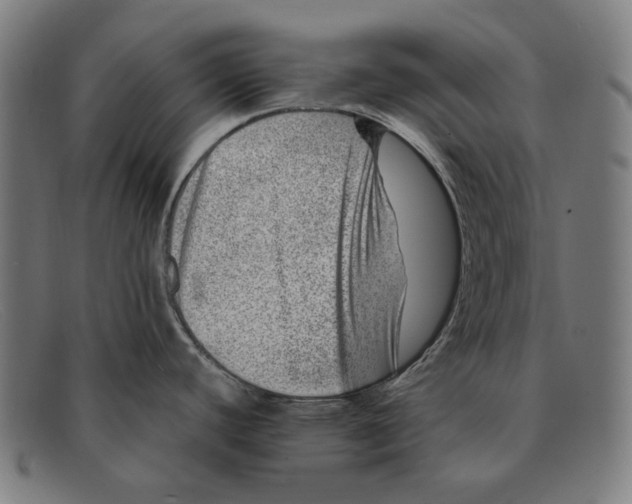 X0000091451440200709131707