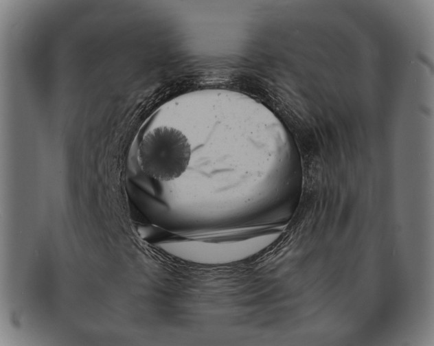 X0000091451441200709131706