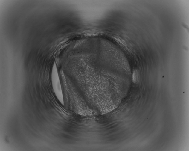 X0000091451444200709131706