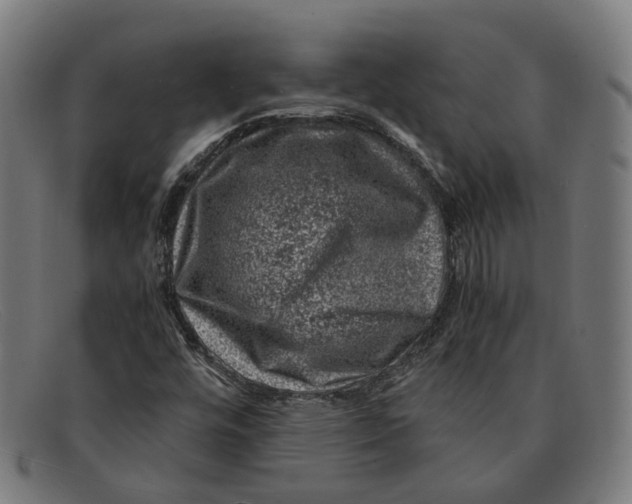 X0000091451448200709131706