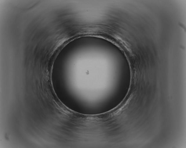 X0000091451449200709131706