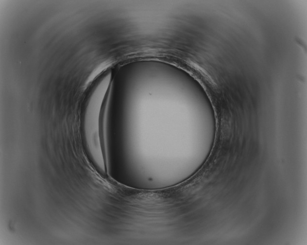 X0000091451450200709131706