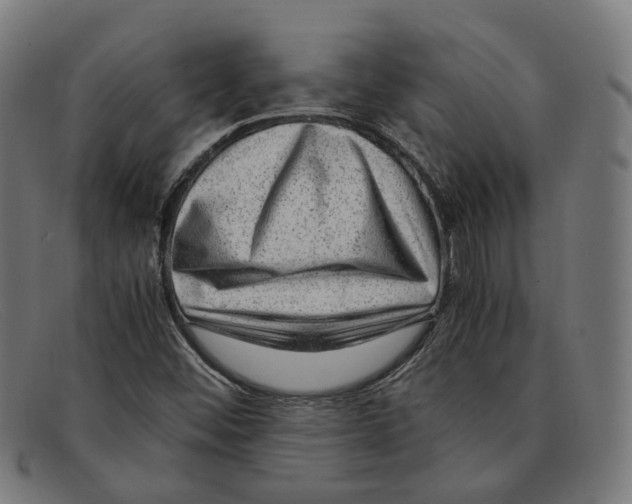 X0000091451452200709131706