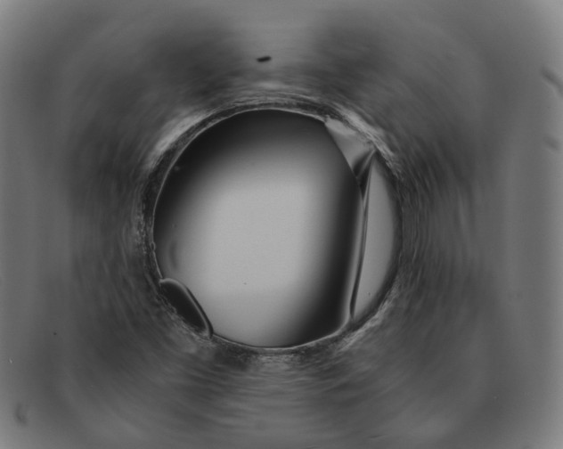 X0000091451453200709131706