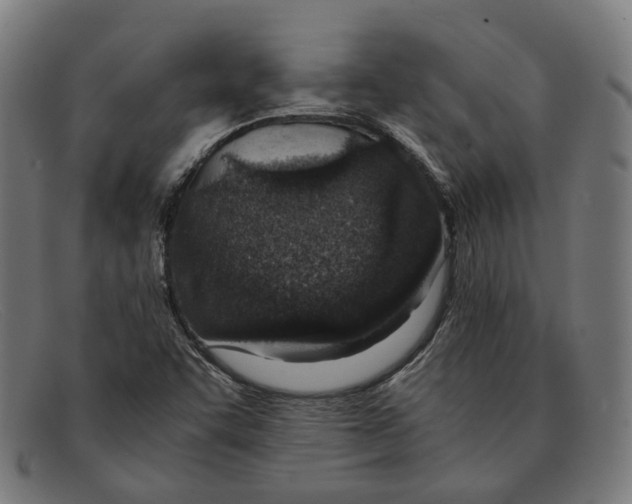 X0000091451455200709131706