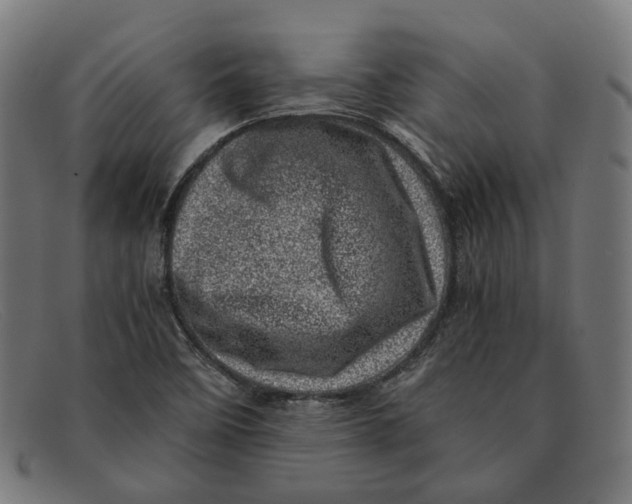 X0000091451458200709131706