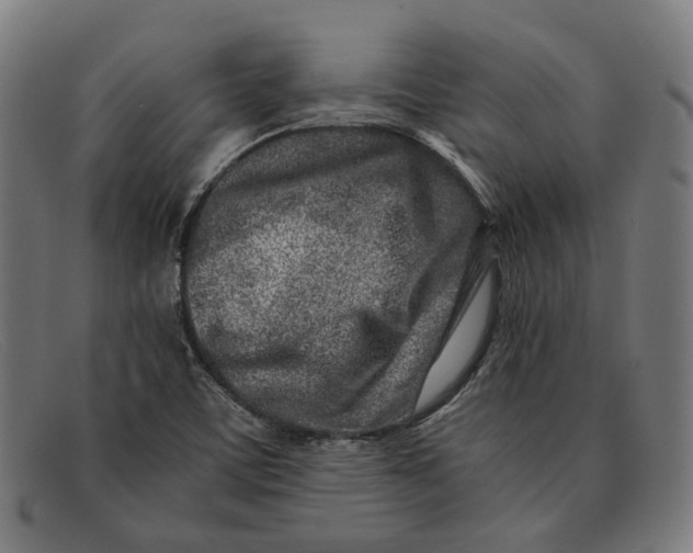 X0000091451459200709131706