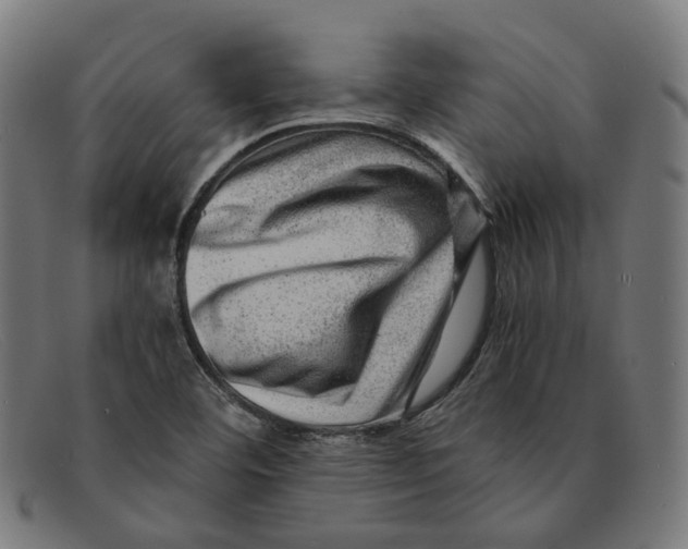 X0000091451460200709131706