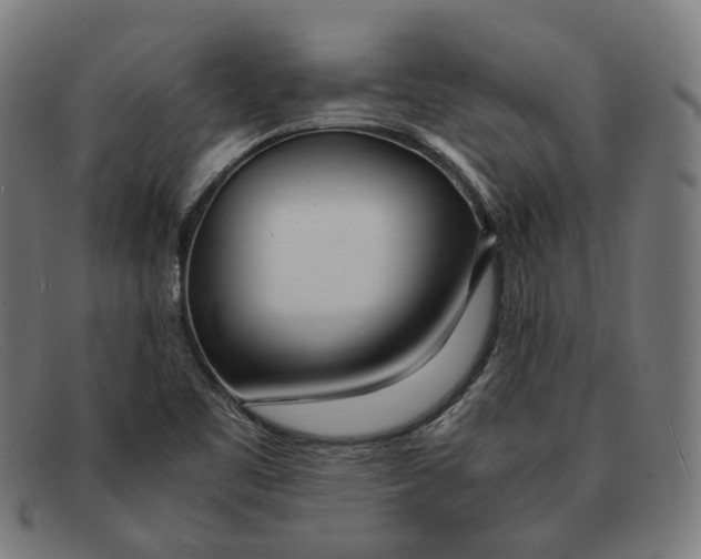 X0000091451461200709131706