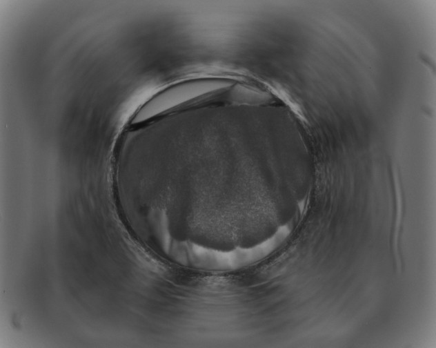 X0000091451463200709131706