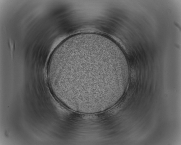 X0000091451466200709131706