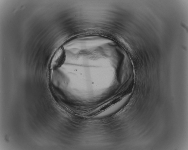 X0000091451467200709131706