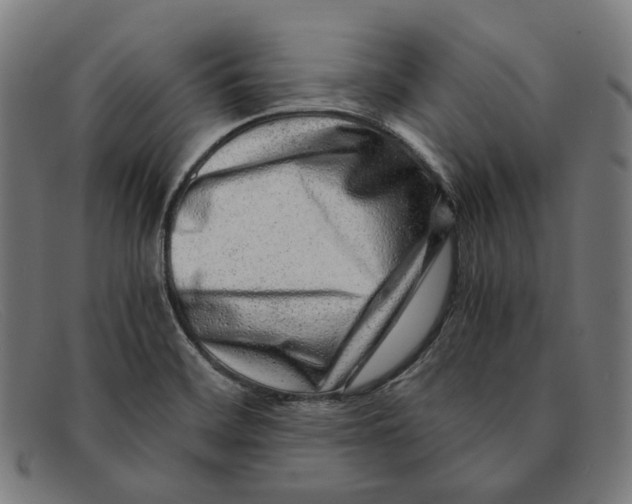 X0000091451468200709131706