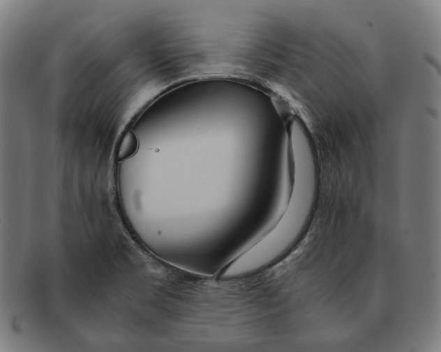 X0000091451469200709131706