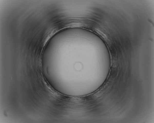 X0000091451473200709131706