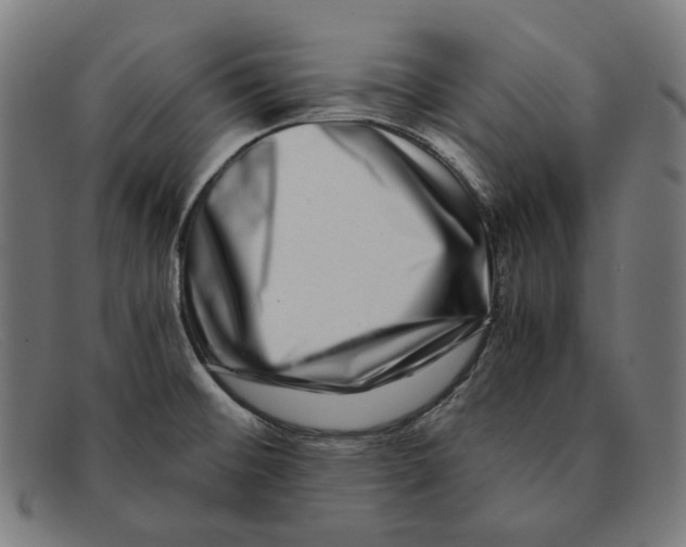 X0000091451476200709131706