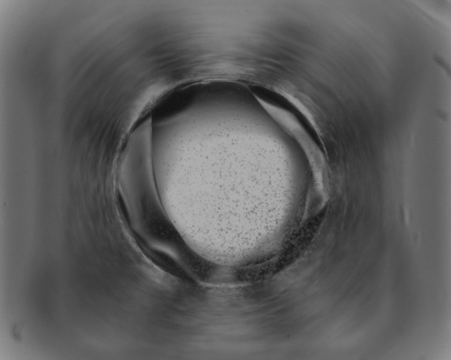 X0000091451477200709131706