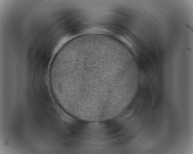 X0000091451478200709131706