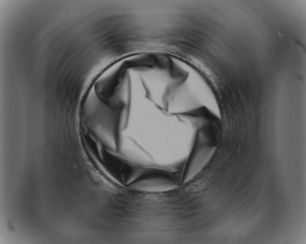 X0000091451480200709131706