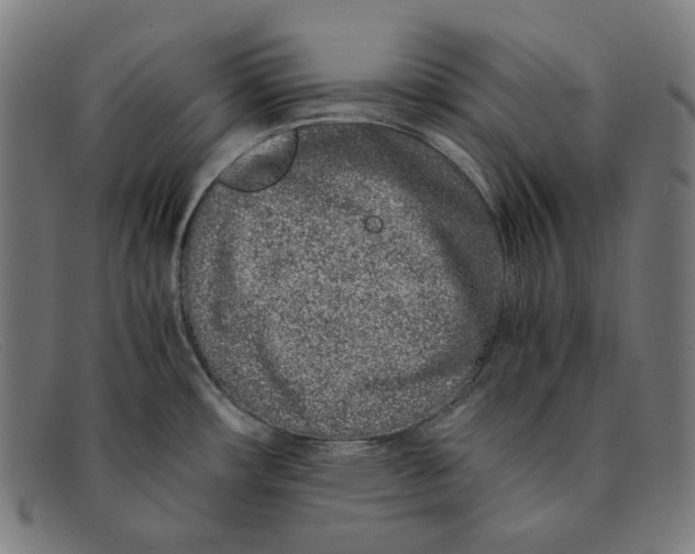 X0000091451482200709131706