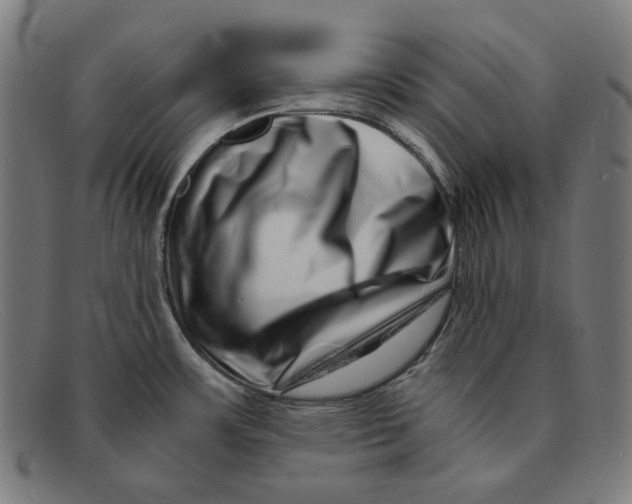 X0000091451483200709131706