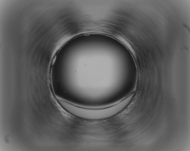 X0000091451485200709131706