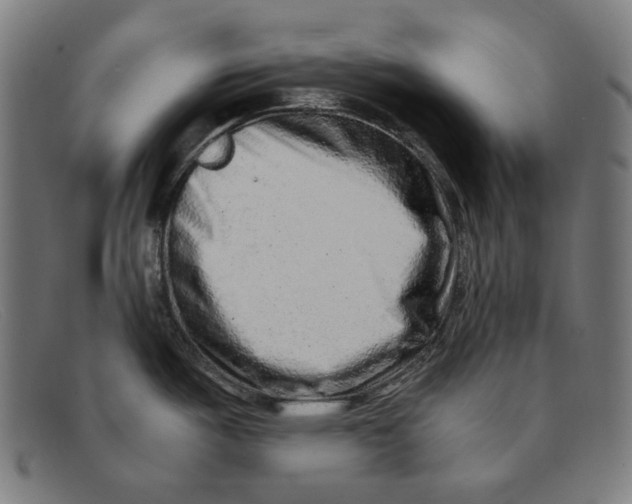 X0000091451487200709131706