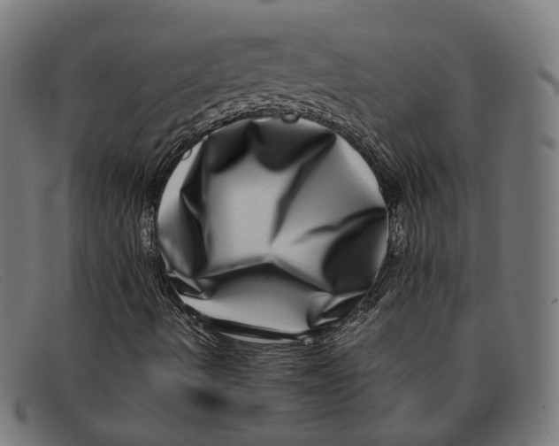 X0000091451490200709131705