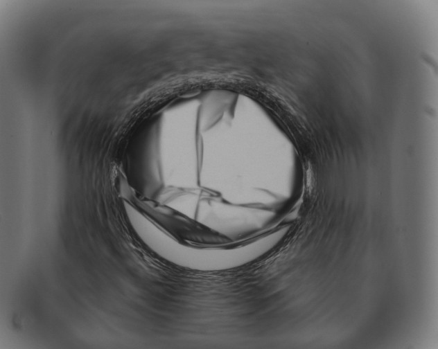 X0000091451492200709131705