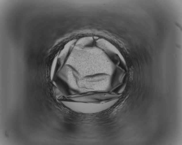 X0000091451494200709131705