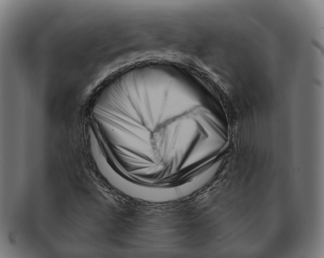 X0000091451496200709131705