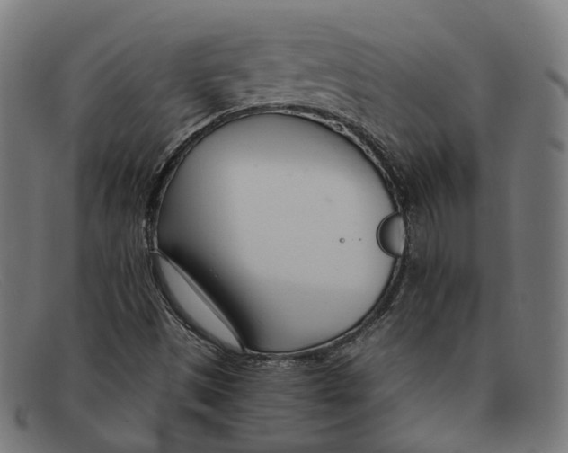 X0000091451497200709131705