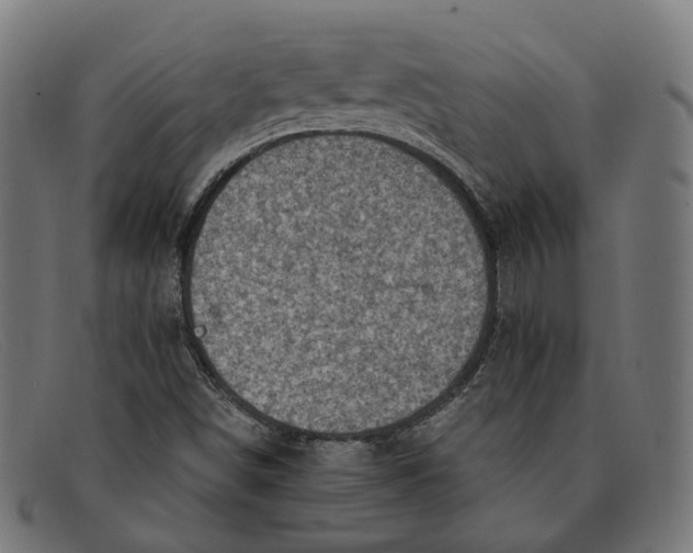 X0000091451498200709131705