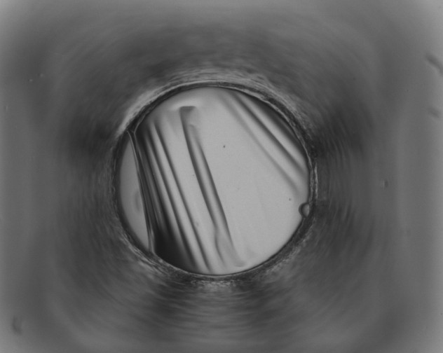 X0000091451501200709131705